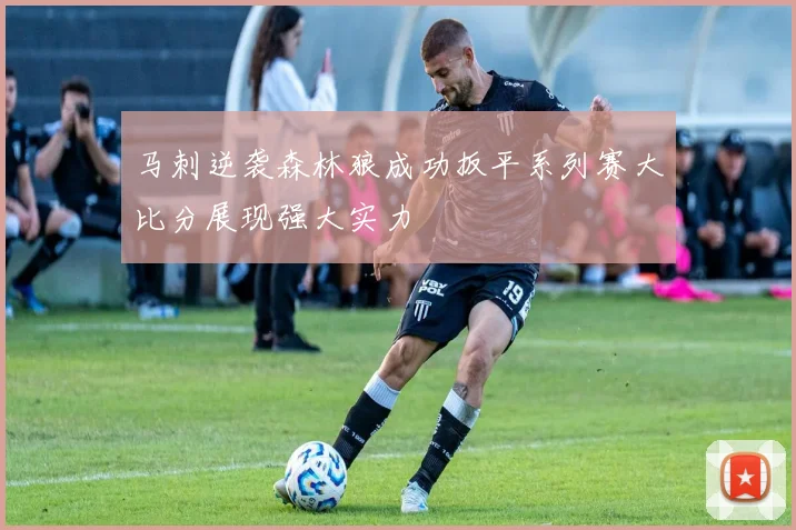 马刺逆袭森林狼成功扳平系列赛大比分展现强大实力